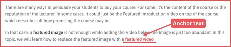Internal Linking Strategy: Anchor Text for Internal Link Example