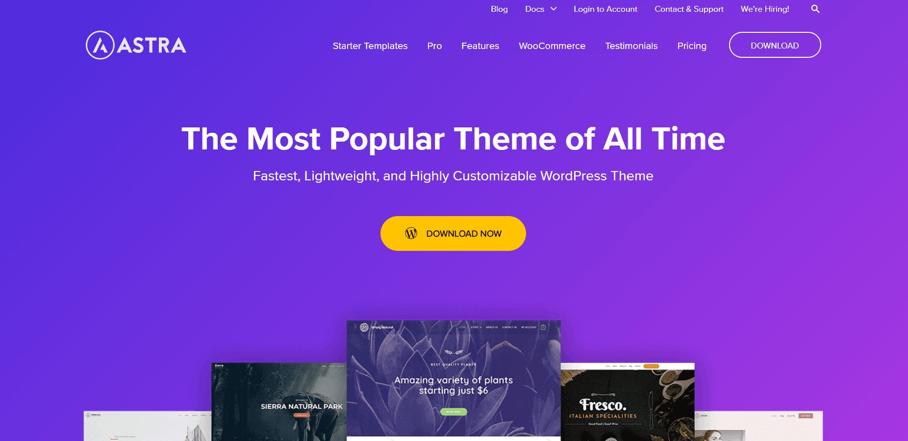 astra kightweight and highly optimized wordpress theme