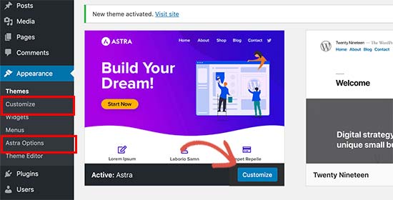 Beginners Guide: How to Install WordPress Theme (Step-by-Step) 19 customizing themes