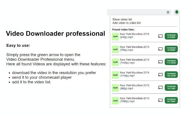 6+ Best Free Video Downloader Chrome Extension 8 video downloader professional