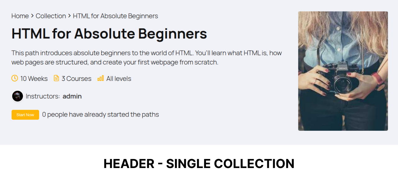 collection addon img5