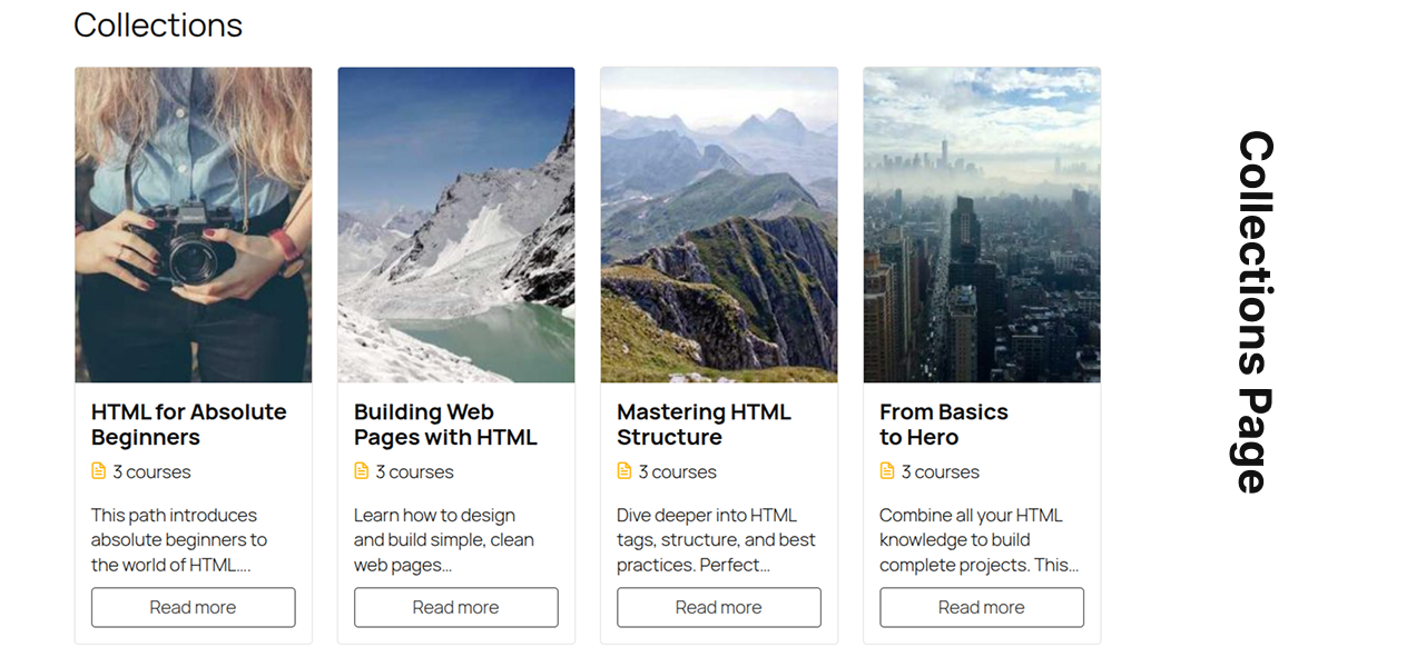 collection addon img6