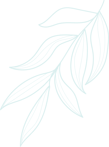 Storepify footer top