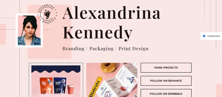 12+ Best Freelancer WordPress Themes 21 Astra