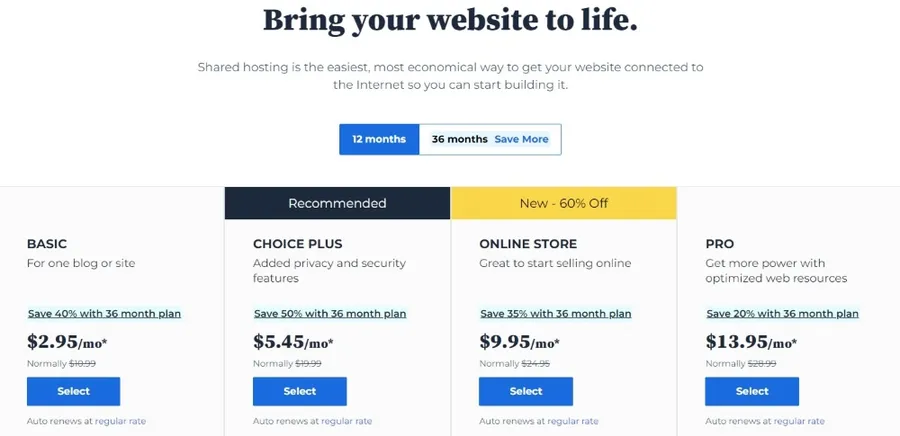 BlueHost Shared Hosting
