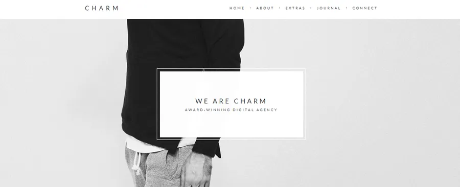 12+ Best Freelancer WordPress Themes 18 Charm