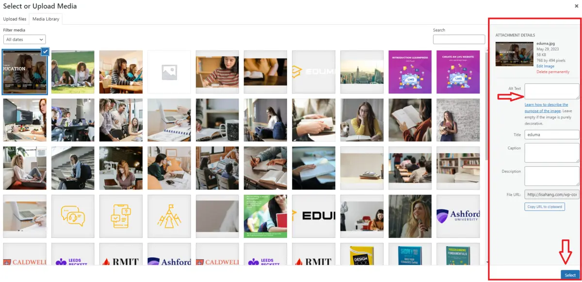 Fill Box Alt Text in Replace