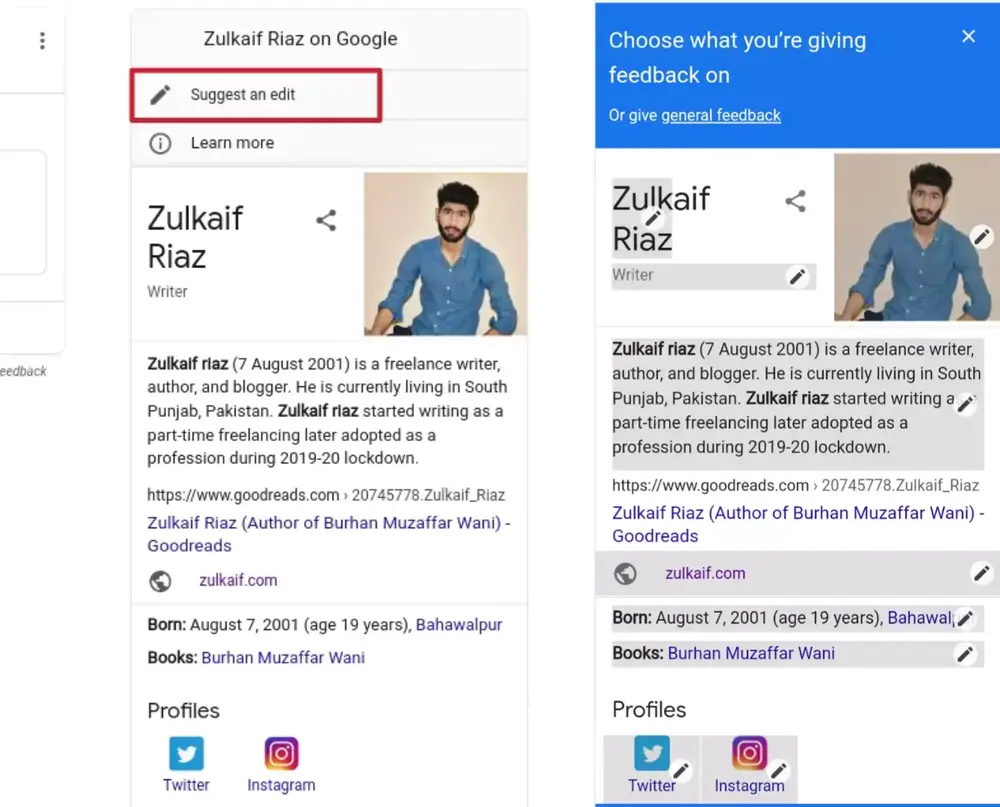 Google Mobile Knowledge Panel