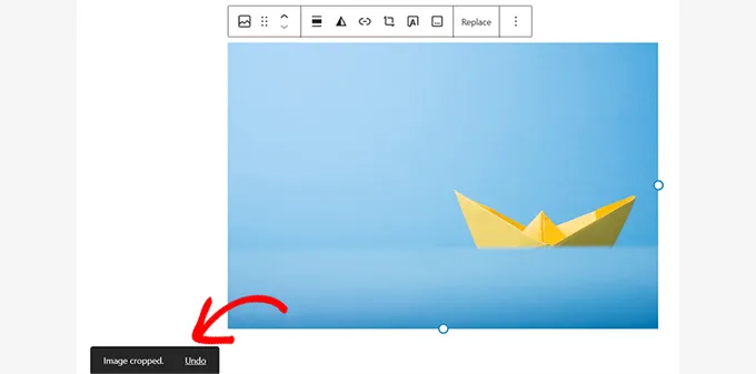Image Actions Success Undo