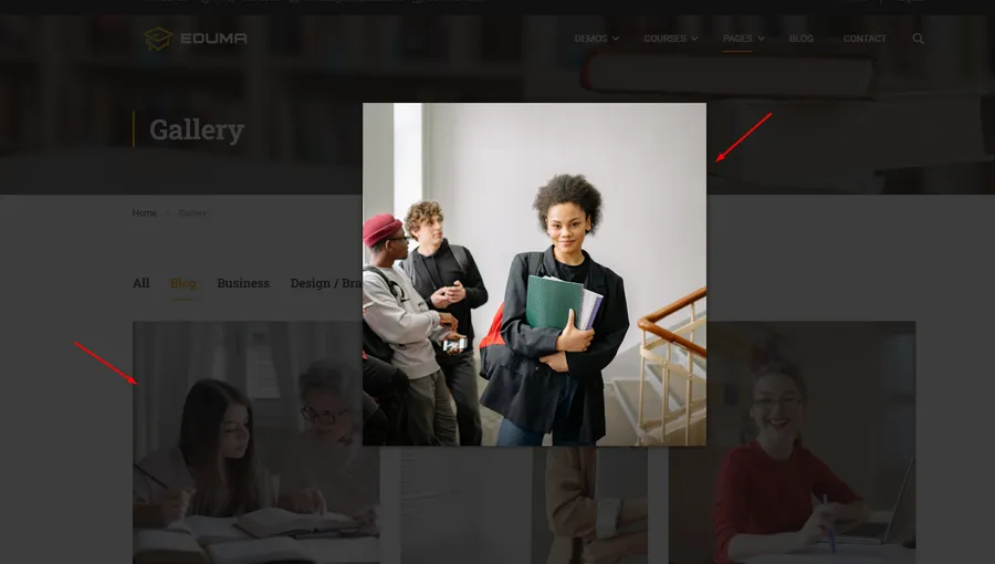 View Gallery in Each Blog